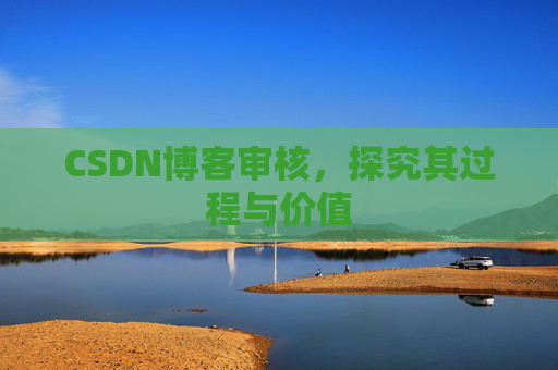 CSDN博客审核,探究其过程与价值