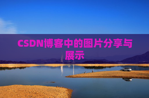 CSDN博客中的图片分享与展示